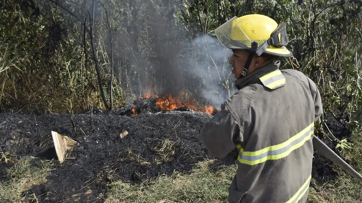 Disminuyen-incendios-forestales-en-Irapuato (2)